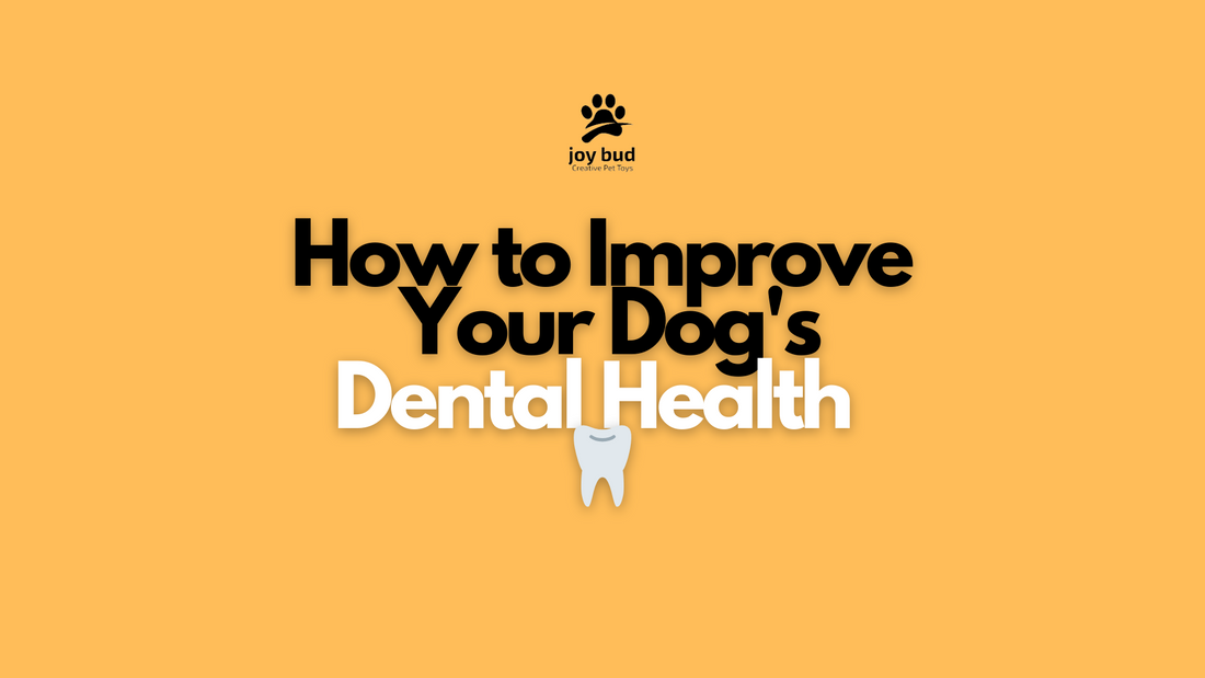 How to Improve Your Dog's Dental Health 🦷