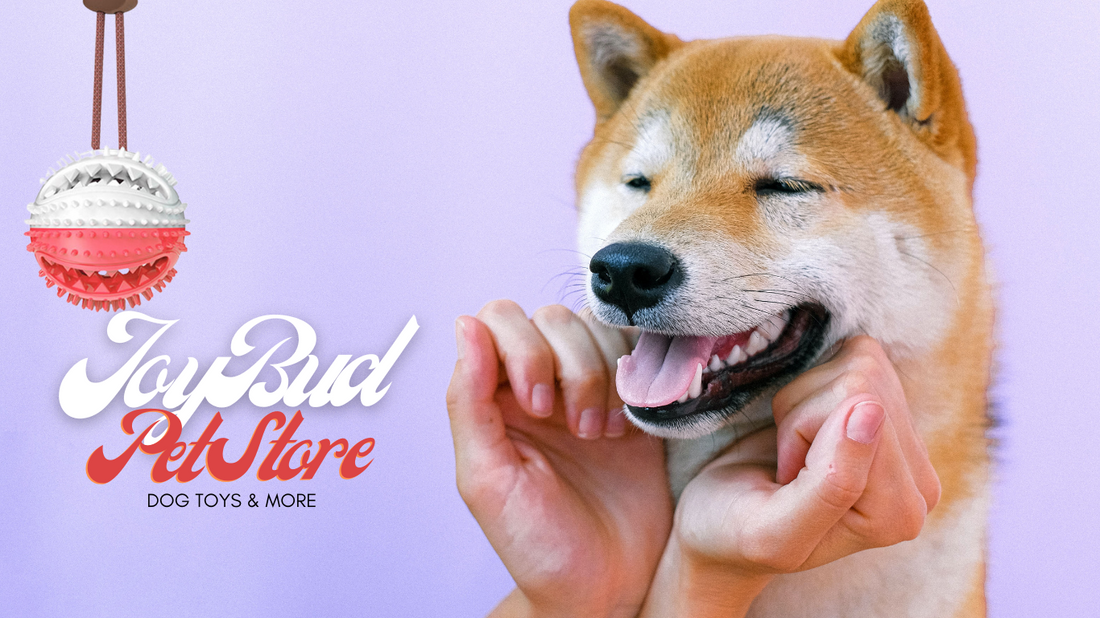 Oral Health Pull-a-Snack Dog Toy: A Fun and Beneficial Choice