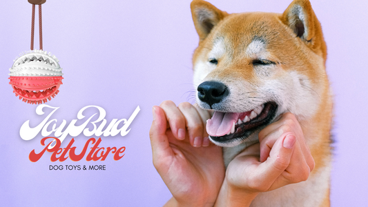 Oral Health Pull-a-Snack Dog Toy: A Fun and Beneficial Choice
