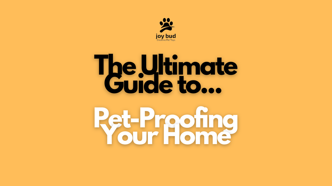 The Ultimate Guide to Pet-Proofing Your Home